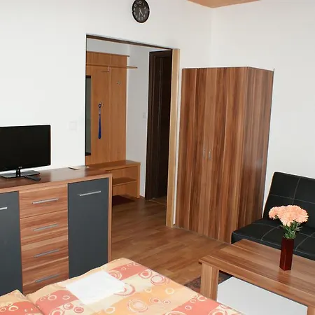 Lejlighed Apartma Lipno Horní Planá