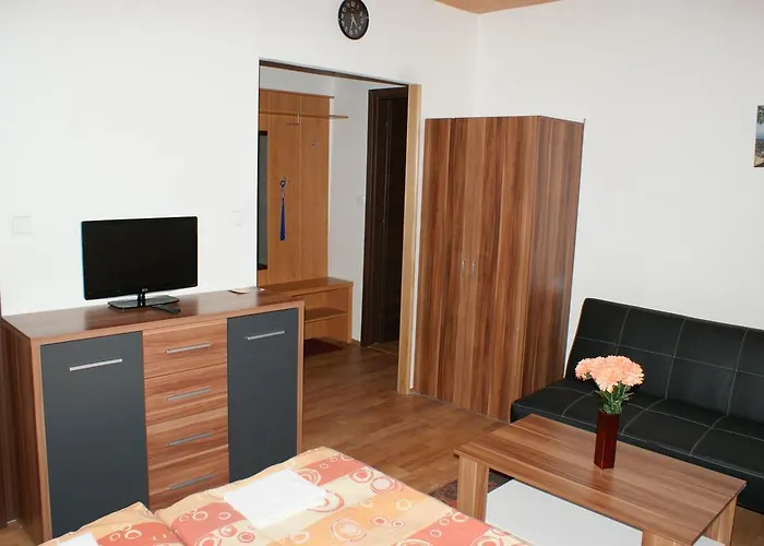 Lejlighed Apartma Lipno Horní Planá